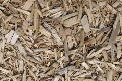 biomass boilers Curload